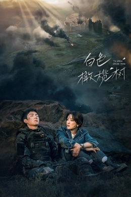Poster phim Cây Ô Liu Màu Trắng